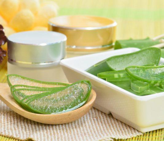 aloe vera