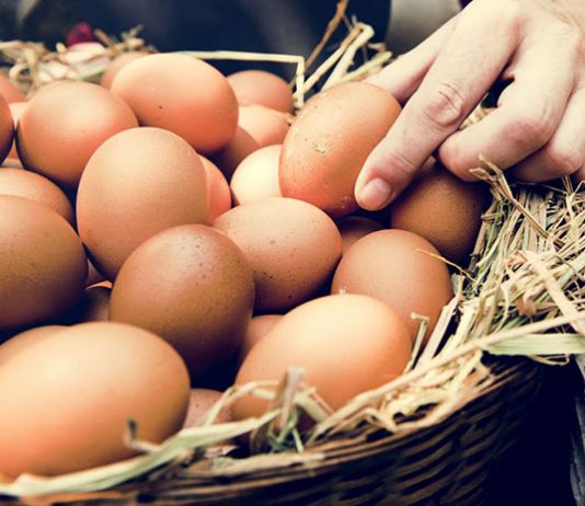 bayat yumurta nasıl anlaşılır