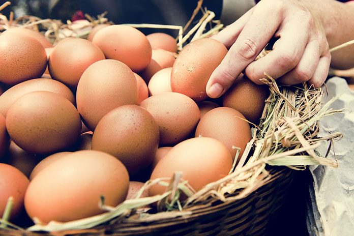 bayat yumurta nasıl anlaşılır