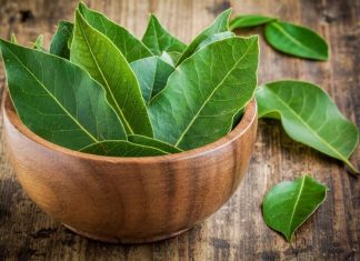 Defne Yaprağı – Defne Yaprağının Faydaları – Defne Yaprağı Çayı defne yaprağı