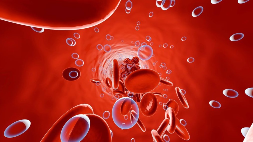 hemoglobin nedir