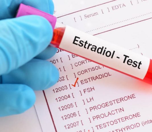 estradiol hormonu